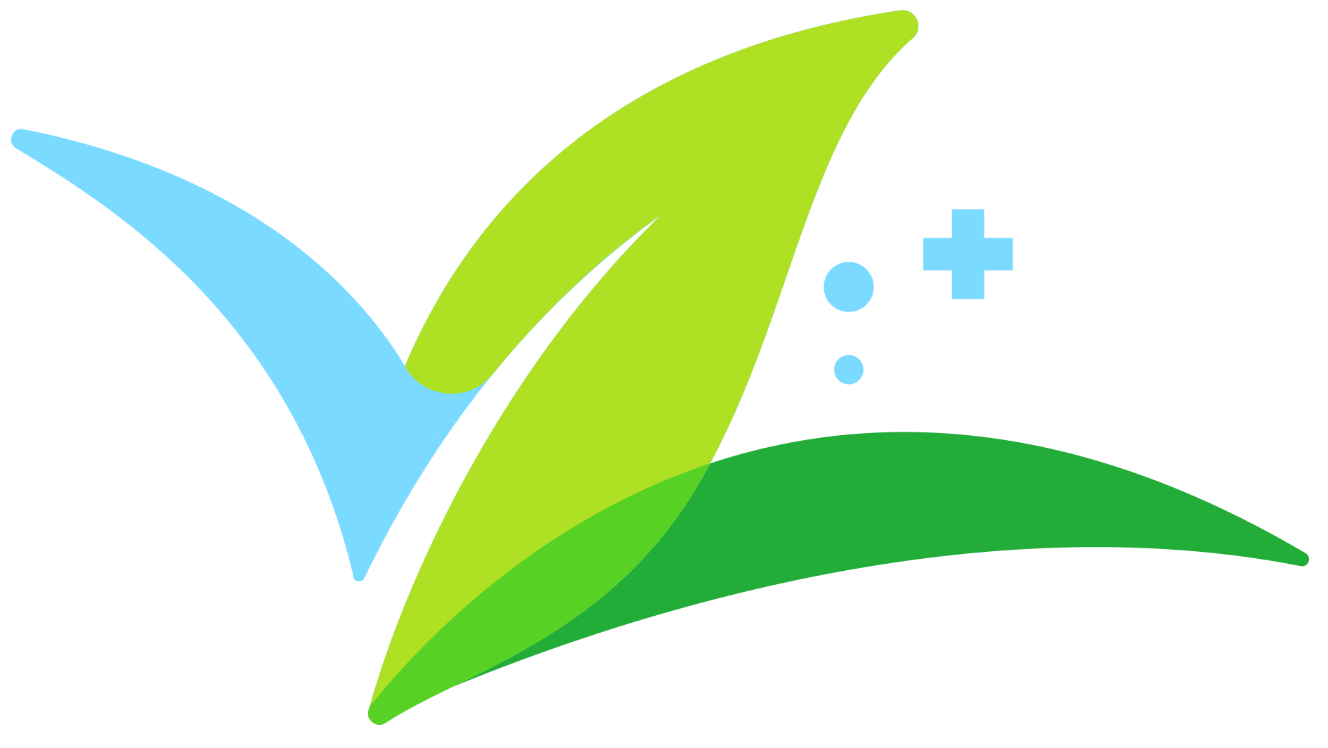 ​Nettle Extract​