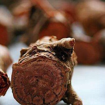 Rhodiola Rosea Extract